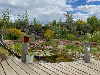 Vergrößerte Ansicht von diesem Bild