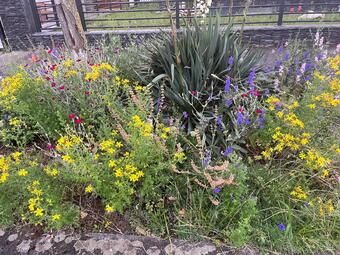 Vergrößerte Ansicht von diesem Bild