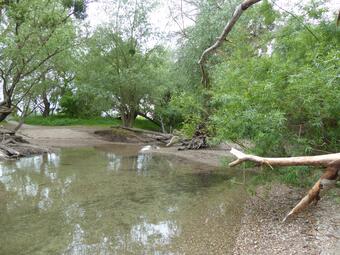 Vergrößerte Ansicht von diesem Bild