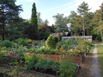 Vergrößerte Ansicht von diesem Bild