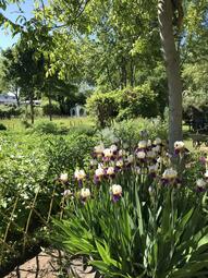 Vergrößerte Ansicht von diesem Bild