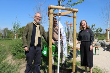 Vergrößerte Ansicht von 