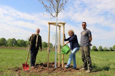Vergrößerte Ansicht von 