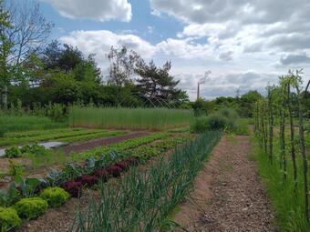 Vergrößerte Ansicht von diesem Bild