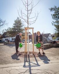 Vergrößerte Ansicht von 