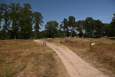 Vergrößerte Ansicht von diesem Bild