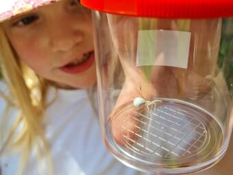 Vergrößerte Ansicht von diesem Bild