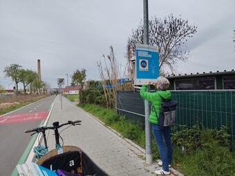 Vergrößerte Ansicht von Person hängt Plakat der Aktion Rücksichtnahme auf Mannheims Fahrradstraßen am Rand einer Fahrradstraße auf