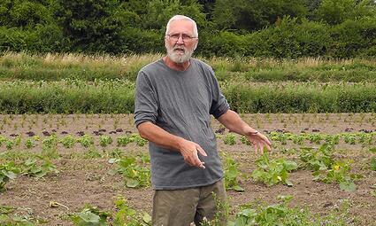 Vergrößerte Ansicht von diesem Bild