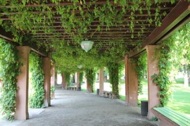 Vergrößerte Ansicht von diesem Bild