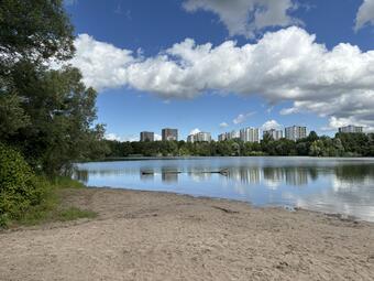 Vergrößerte Ansicht von diesem Bild
