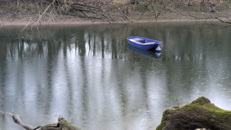 Vergrößerte Ansicht von Waldbaden im Waldpark Mannheim: Winterbeginn
