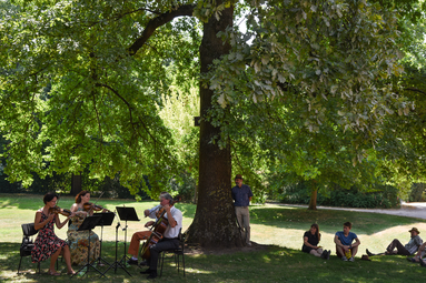Vergrößerte Ansicht von Tag der Artenvielfalt: Waldkonzert mit Holzbläsern