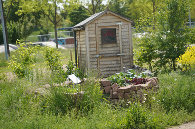 Vergrößerte Ansicht von Tag der Artenvielfalt: Drei-Zonen-Garten mit Schlüsselochbeeten als Ertragszone