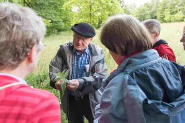 Vergrößerte Ansicht von Tag der Artenvielfalt: Artenkundlicher Spaziergang in Mannheimer Waldpark