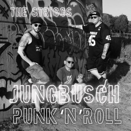 Vergrößerte Ansicht von THE STRIGGS (DE) + Vaultaire (DE) - Punk'n'Roll