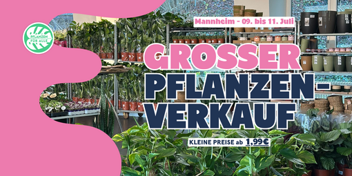Vergrößerte Ansicht von Großer Pflanzenverkauf