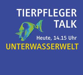 Vergrößerte Ansicht von Tierpfleger Talk - immer wieder dienstags