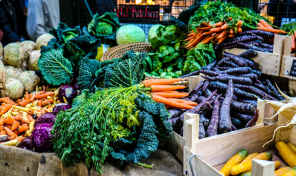 Vergrößerte Ansicht von Aktionstage zu fairer und nachhaltiger Ernährung in den städtischen Kantinen
