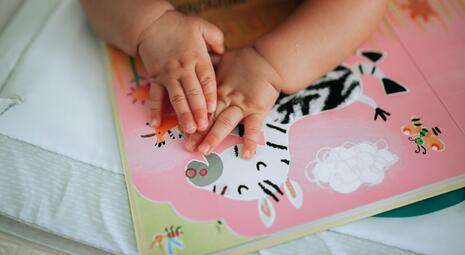 Vergrößerte Ansicht von zwei Kleinkinder-Hände liegen auf einem offenen Buch, auf dem man ein Zebra vor rosa Hintergrund sieht