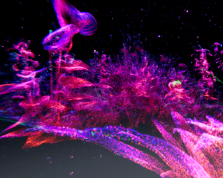 Vergrößerte Ansicht von STUDIO: Rasa Smite &amp; Raitis Smits