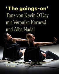 Vergrößerte Ansicht von 'The goings-on'