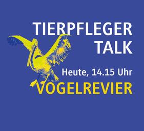 Vergrößerte Ansicht von Tierpfleger Talk - immer wieder dienstags