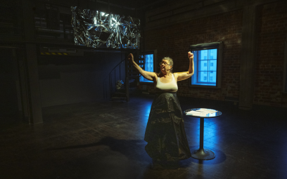 Vergrößerte Ansicht von Lecture-Performance: Turn Turtle Turn