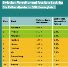 Vergrößerte Ansicht von 