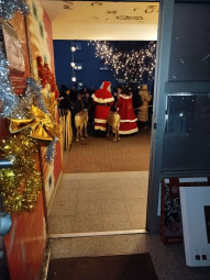 Vergrößerte Ansicht von diesem Bild