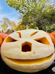 Vergrößerte Ansicht von KÜRBISSCHNITZEN IM FREIZEITHAUS / Vorfreude auf Halloween