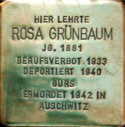 Vergrößerte Ansicht von Rosa Grünbaum