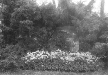 Vergrößerte Ansicht von Grabmal Doland Paul