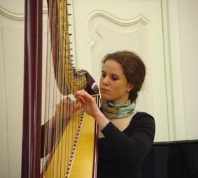 Vergrößerte Ansicht von Zupfinstrument