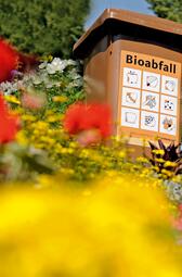 Vergrößerte Ansicht von 