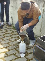 Vergrößerte Ansicht von diesem Bild