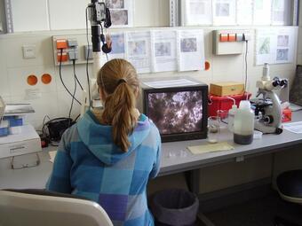 Vergrößerte Ansicht von diesem Bild