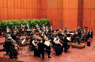 Vergrößerte Ansicht von Mozartorchester, Bild von Rosa-Frank.com
