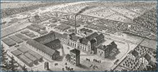 Vergrößerte Ansicht von 1884 - Zellstofffabrik Waldhof