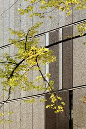 Vergrößerte Ansicht von diesem Bild