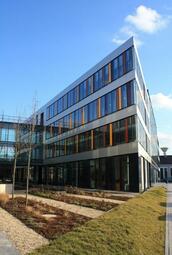 Vergrößerte Ansicht von diesem Bild