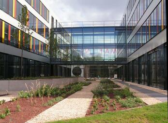 Vergrößerte Ansicht von diesem Bild