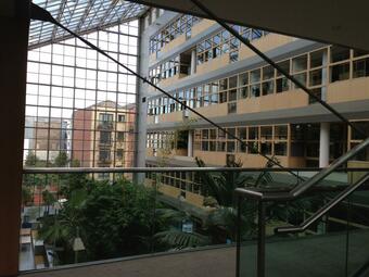 Vergrößerte Ansicht von diesem Bild