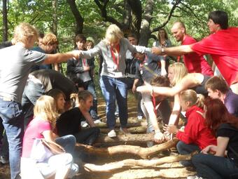 Vergrößerte Ansicht von diesem Bild