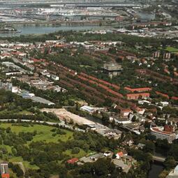 Vergrößerte Ansicht von diesem Bild