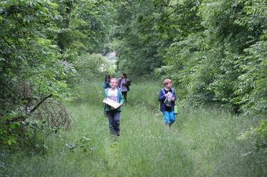 Vergrößerte Ansicht von Drei Kinder laufen durch Wiese im Wald