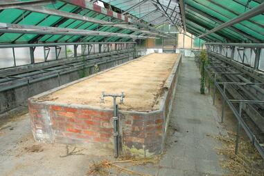 Vergrößerte Ansicht von Stadtgärtnerei Gewächshaus Innenansicht