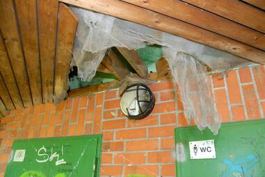 Vergrößerte Ansicht von Toilettenanlage Rheinauer See Dach vor Sanierung