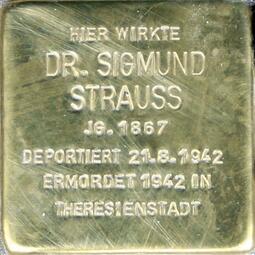 Vergrößerte Ansicht von Dr. Sigmund Strauß