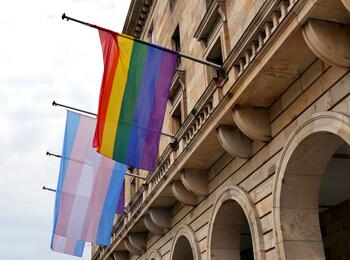 Die Trans*Pride-Flaggen am Rathaus